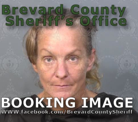 Mugshot of Donna Farrell Schaffer