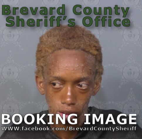 Mugshot of Vanessa Abigail Mclaughlin
