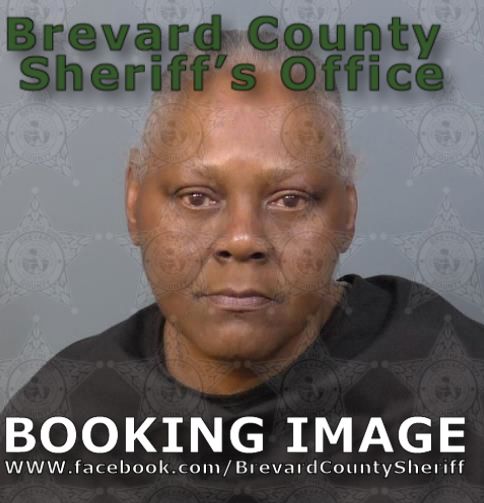 Mugshot of Cheryl Danette Haynes