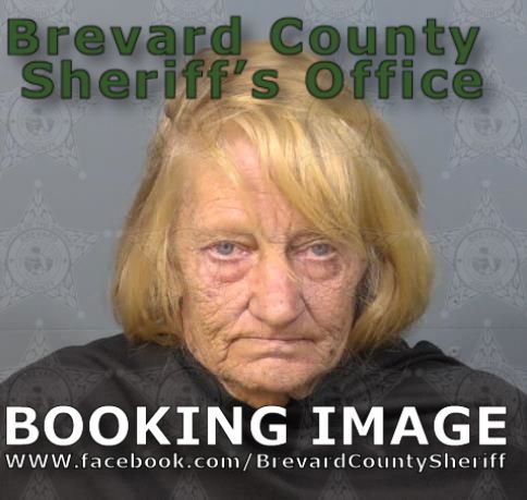 Mugshot of Lori Jean Parks