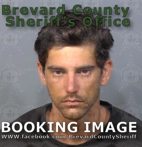 Mugshot of Logan Michael Viens