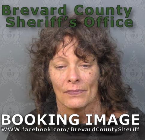 Mugshot of Tawnya Kay Allender