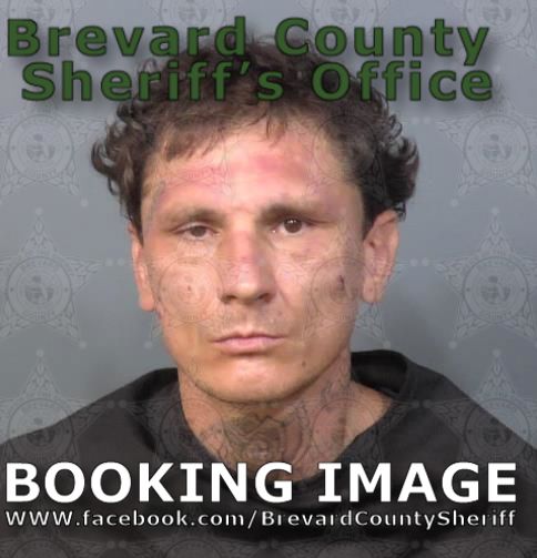 Mugshot of Pony Shea Kolonich