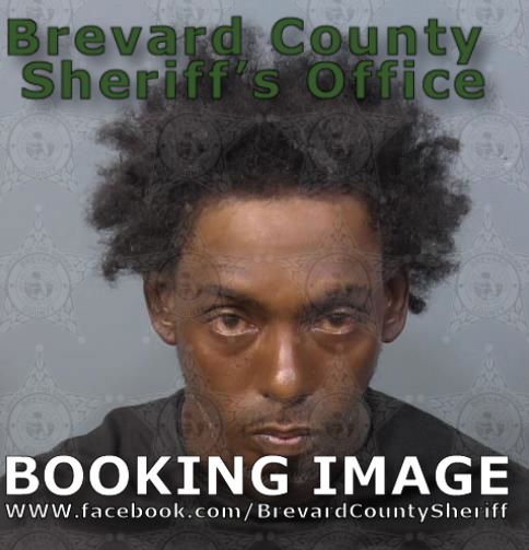 Mugshot of Travale Labraus King