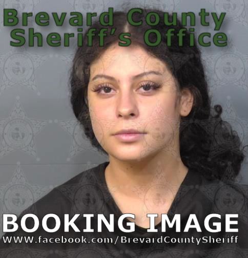 Mugshot of Arlina Faith Fosburr