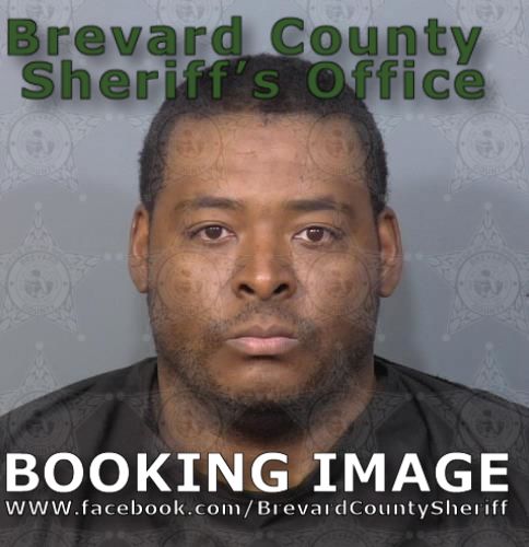 Mugshot of Henry L Mims