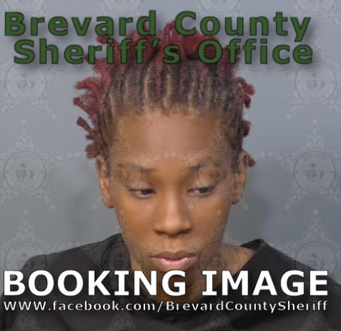 Mugshot of Destiny Cheyenne Brimmer