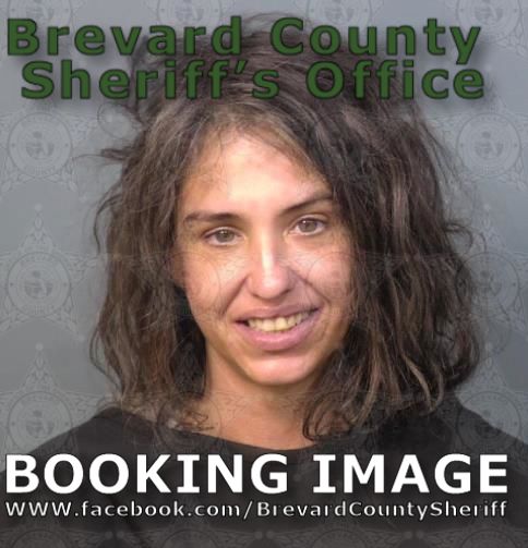 Mugshot of Danielle Marie Pellerin