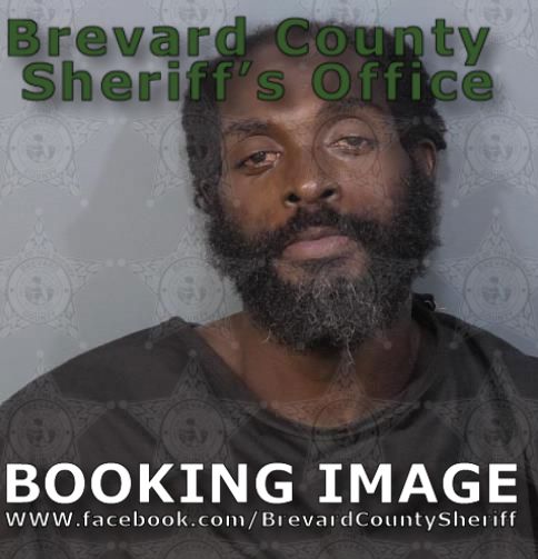 Mugshot of Audey Kerry Browne