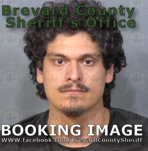 Mugshot of Martin Rodrigo Fontanes