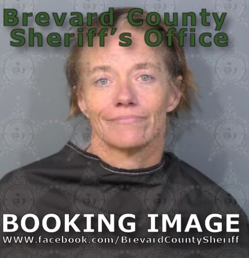 Mugshot of Mary Alice Mccombs