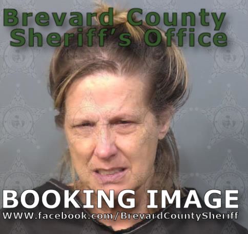 Mugshot of Vicki Lea Nelson