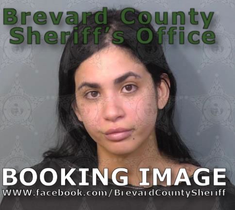 Mugshot of Diliara Ruiz De Varga
