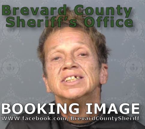 Mugshot of Holly Lorraine Melton