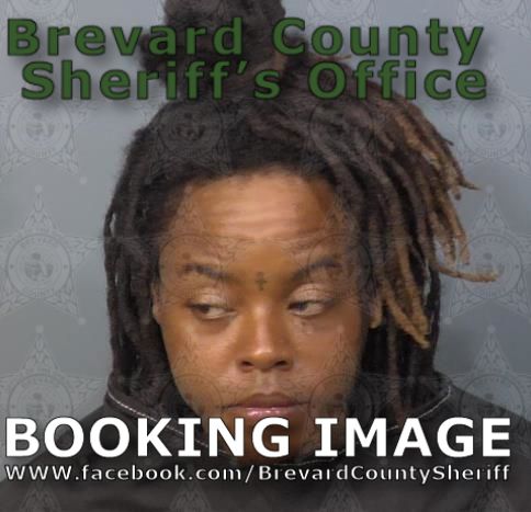 Mugshot of Mykia Donshay Nelson