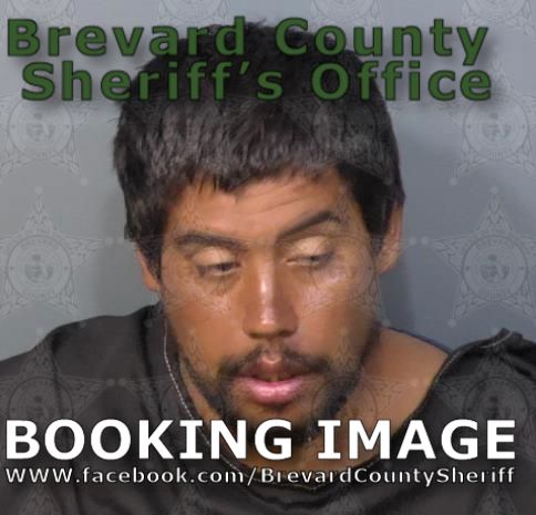 Mugshot of Celine Alfredo Rodriguez