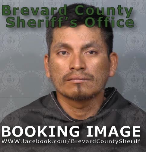 Mugshot of Francisco Perez Lainez