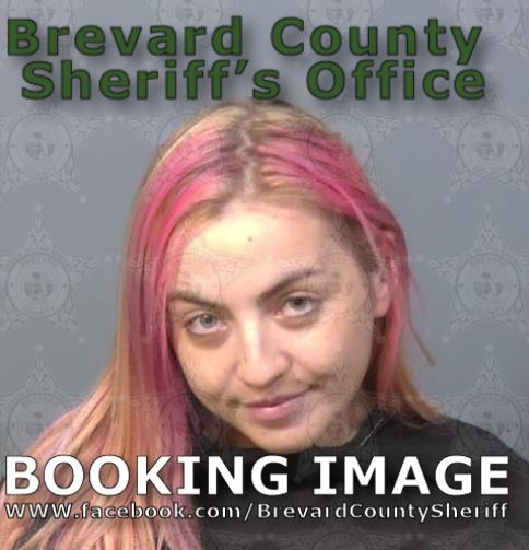 Mugshot of Nicole Bladek
