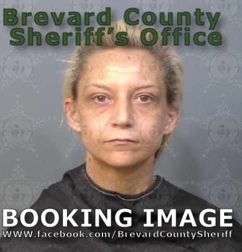 Mugshot of Kristina Kimberly Swartz