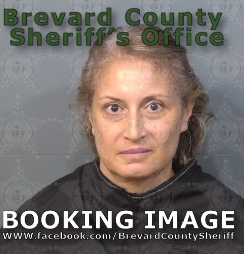 Mugshot of Iamayca Mcnees