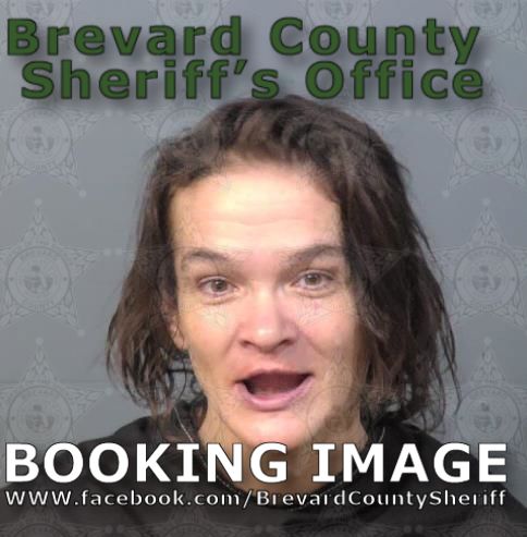 Mugshot of Tracy Elizabeth Goodwin