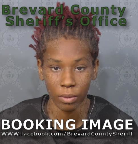 Mugshot of Destiny Cheyenne Brimmer