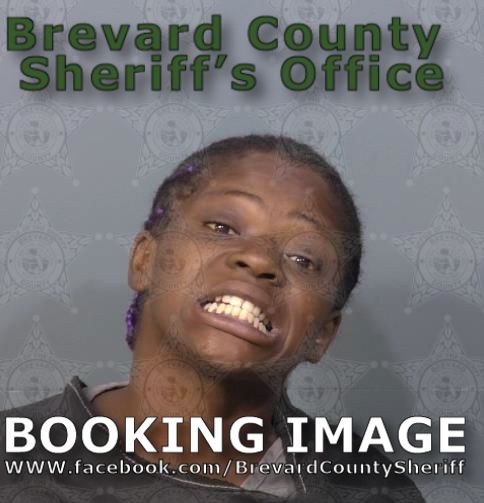 Mugshot of Mikel Marvin Bright