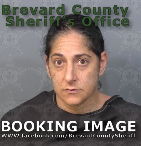 Mugshot of Cynthia Ann Farsoun