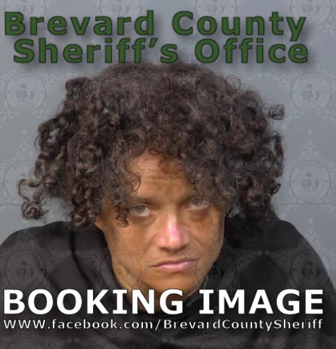 Mugshot of Jacclyn Sarelle Irvine