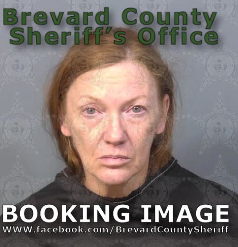 Mugshot of Cynthia Diane Richman