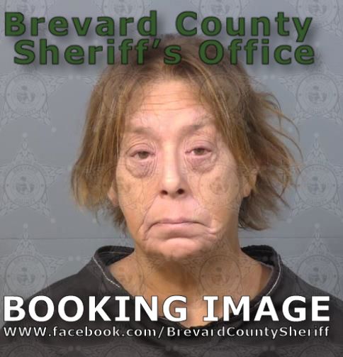 Mugshot of Barbra Jeri Nyquist