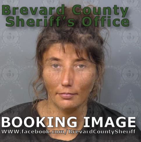 Mugshot of Ashley Brianna Benson