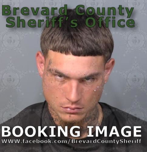 Mugshot of Myke Antonie Reis