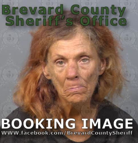 Mugshot of Tracie Farmer Summit