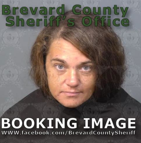 Mugshot of Courtney Nicole Pallissard