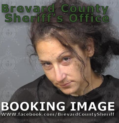 Mugshot of Kelly Ann Turlo