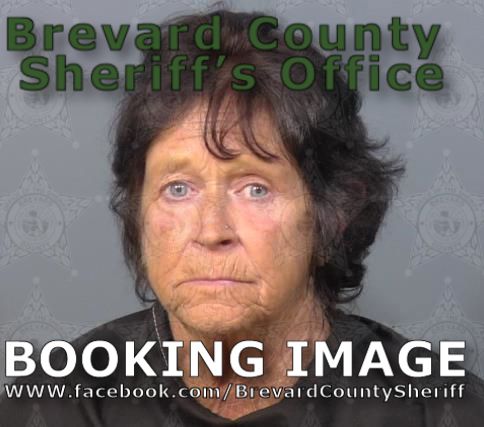 Mugshot of Cynthia Dawn Hunley