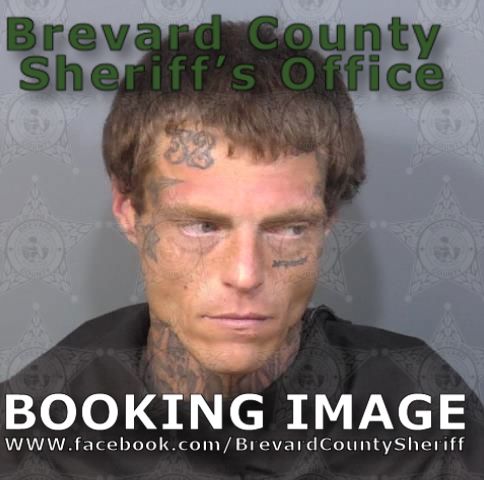 Mugshot of Brandon Lee Madill