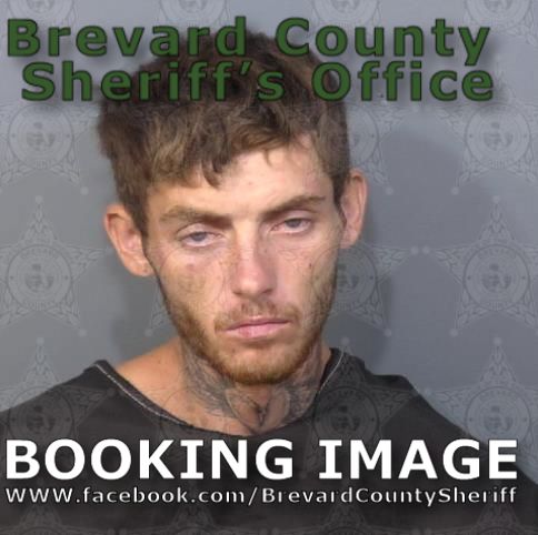 Mugshot of Johnny Calvin Sells