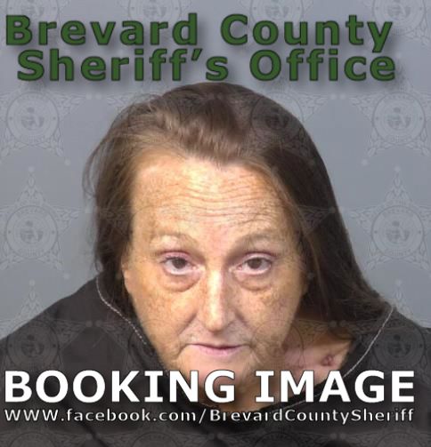 Mugshot of Heather Dawn Koehler