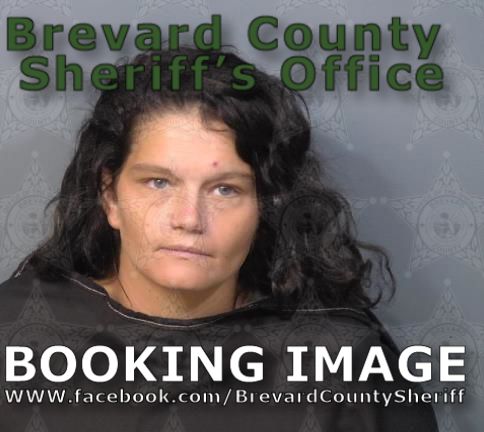 Mugshot of Erica Lane Baril