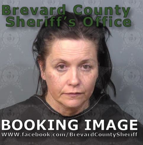 Mugshot of Amanda Joanna Fredricks