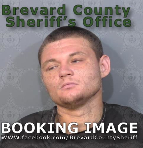 Mugshot of Charles Martin George