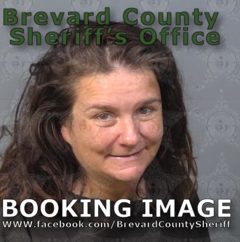 Mugshot of Dawn E Mcnally