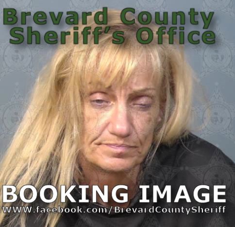 Mugshot of Tamara Lynn Shuck