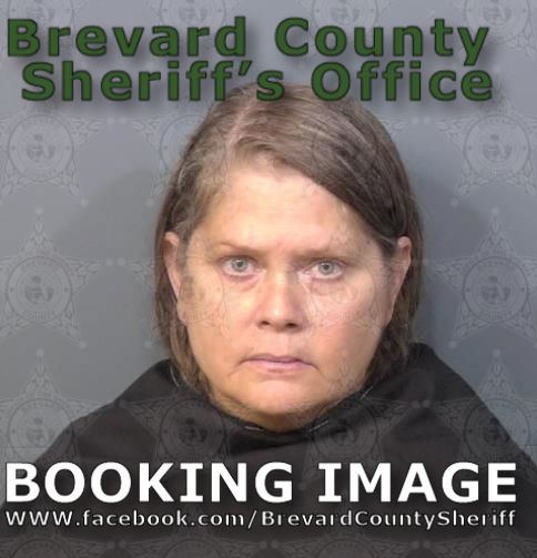 Mugshot of Teresa Louise Shaulis