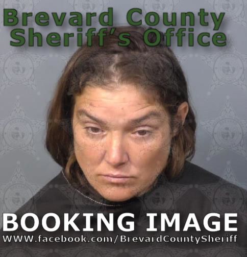 Mugshot of Amy Lee Stagman