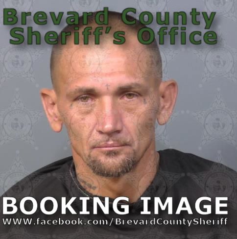 Mugshot of Brian Dale George