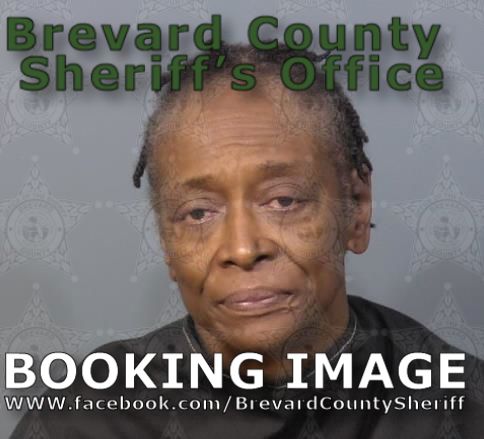 Mugshot of Adrienne Leigh Comegys