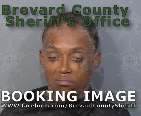 Mugshot of Shanikqua Tremesa Gaines